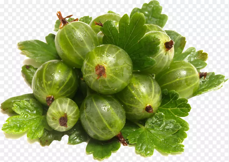 ������ˮ������ϡ��߲�-������