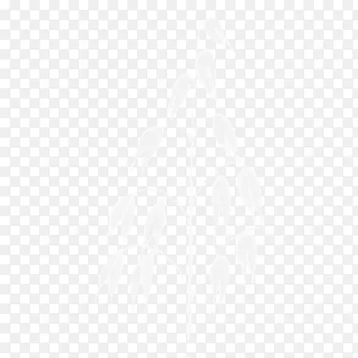 ��ɫ�����ֽ�����������-������