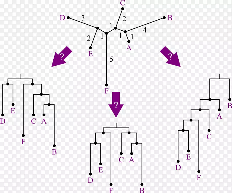 �����-������