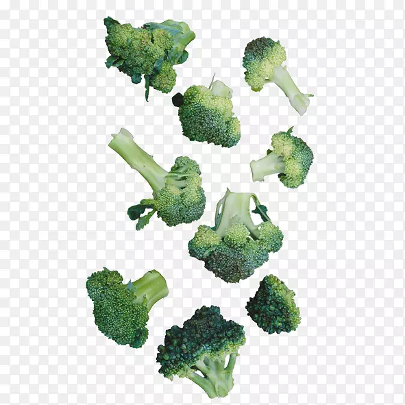 ��Ҭ��-������