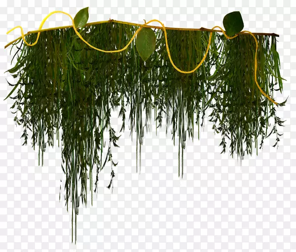 ������-������