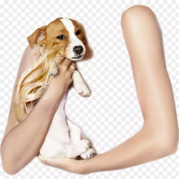 Ȯ��С����Ȯ����-С��-������