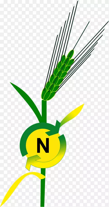 ������ѧֲ��ϸ����ѧ�о�-��ѧ-������