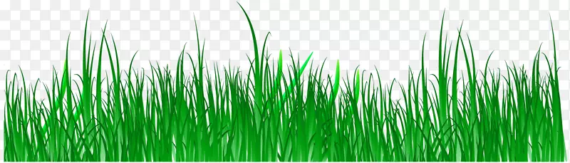 �����ɫ��Ʒ���Ա�ֽ���̲ݵش������-������