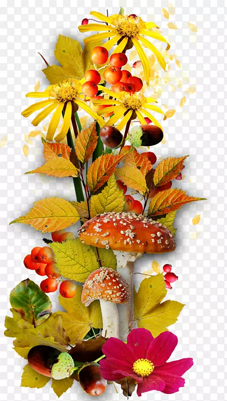 ��������л�-������