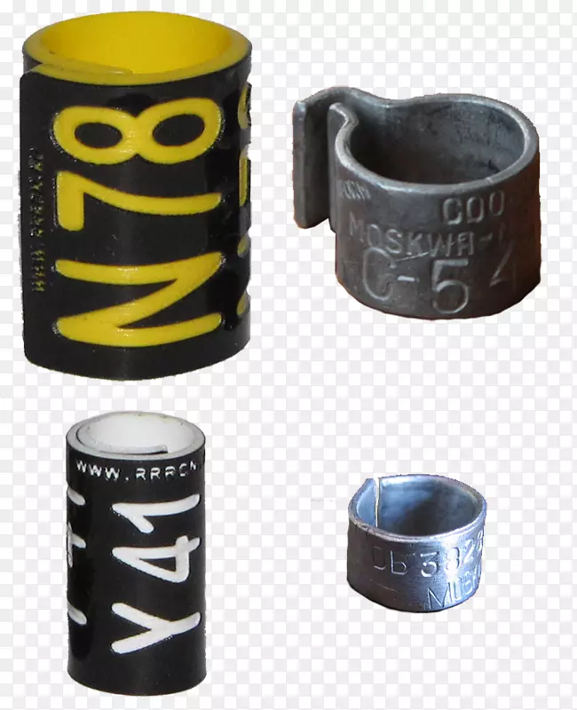 ��������.���-������