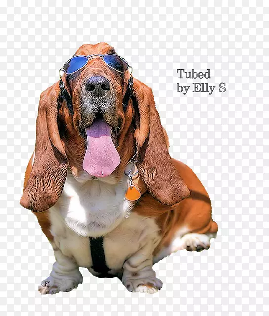 ��������Ȯ��������Ȯ������ɭȮ����Ȯ����Ȯ-������