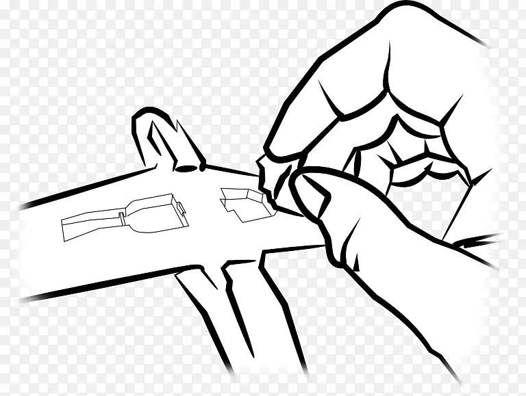 ��ָҶ��������-������