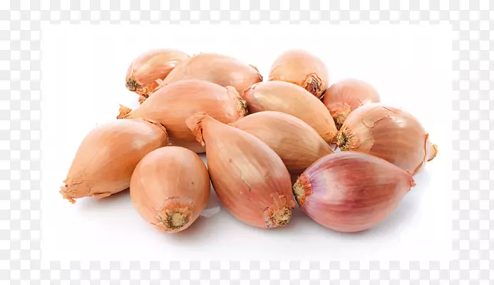 �����߲��۾���Ӱ.�߲�-������