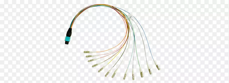 �������鱦ϵ��-����-������