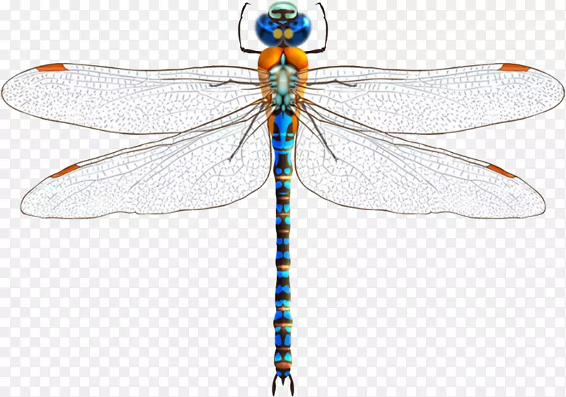 ������������-����-������