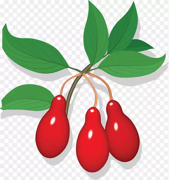 ӣ�ҹ��¸���˹������-ӣ��-������