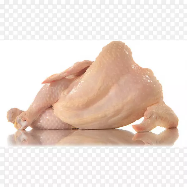 ������Ϊʳ�￾����ָ����-������