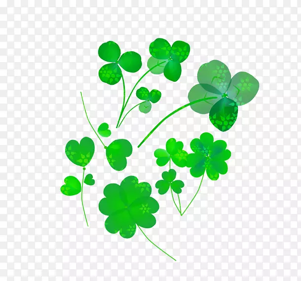 ��Ҷ����Ҷ�ݿ���ֲ����-��Ҷ��-������