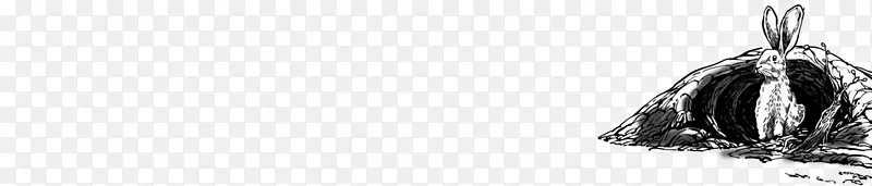 ��ɫ����-���Ӵ���-������