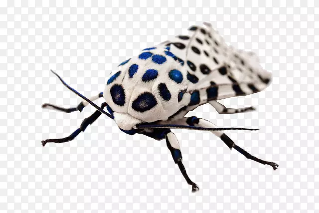 ���ͱ�������?n-������