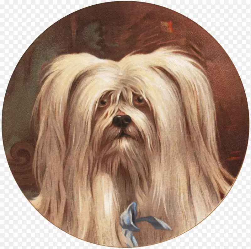 �ʼҹ�����������-����������-������