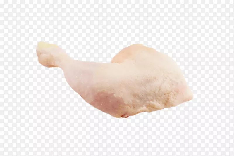 ����֬��-������