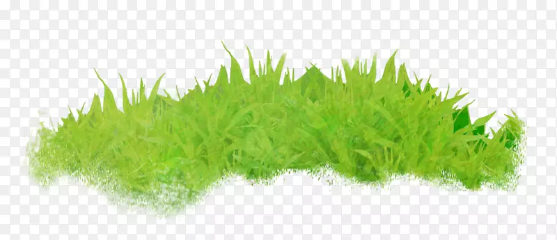 ���ˮ���-������