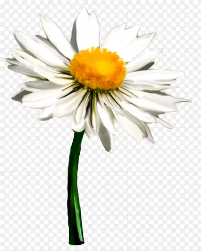 �ջ�-������