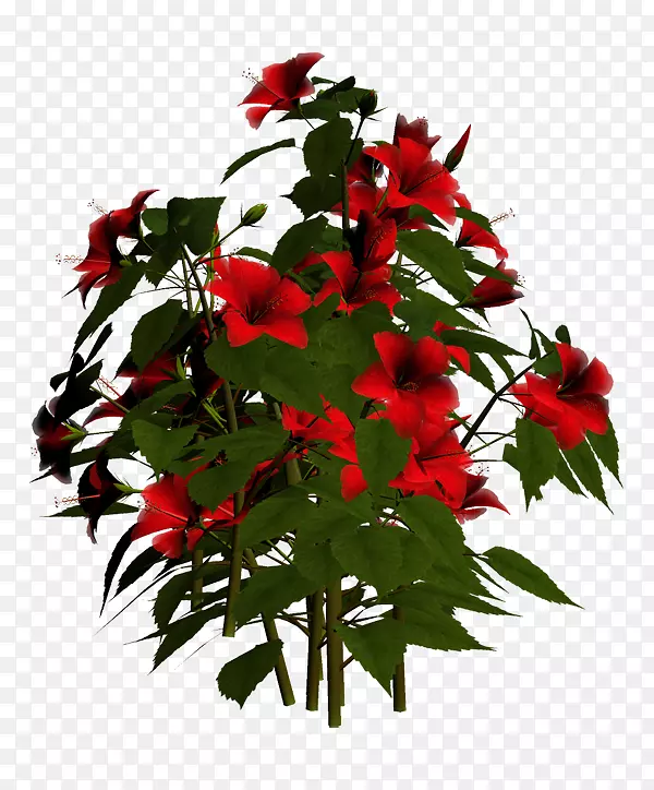 �л������衢����ֲ�����ֲ��-ֲ��-������