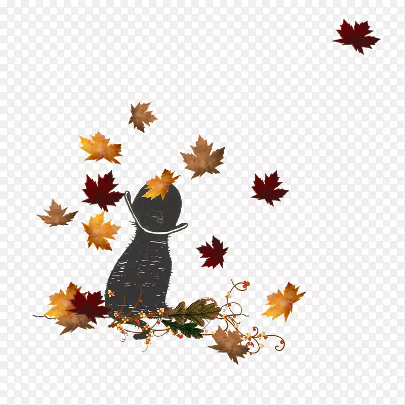 ��ʥ��װ��Ʒ����ֲ��Ҷñ������-������