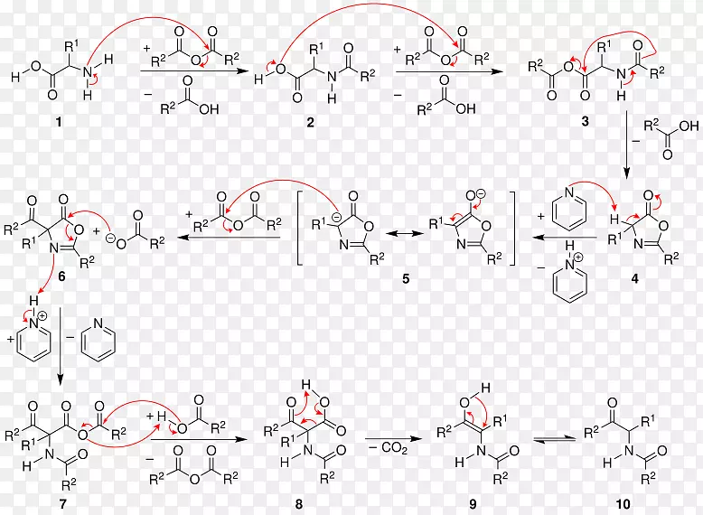 ���-����Ӧ��������������Ӧ����-������