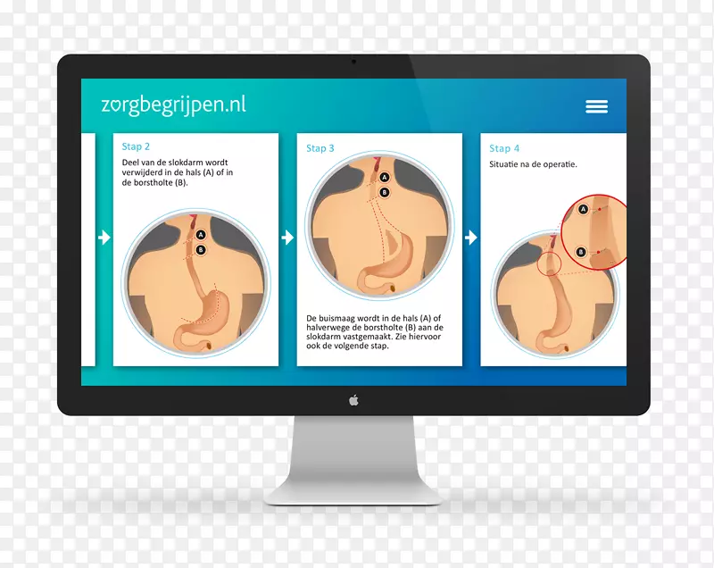 ������ʾ����ʾ����˵���Ϊ��ý��-������