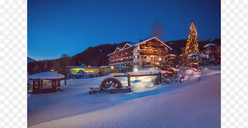 ̩���������˹Ƥ���³��������գ���˹Ƥ�ľ������ȼٴ�-����-������