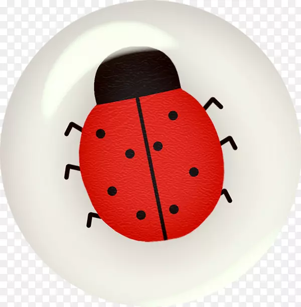 ����ư��-������