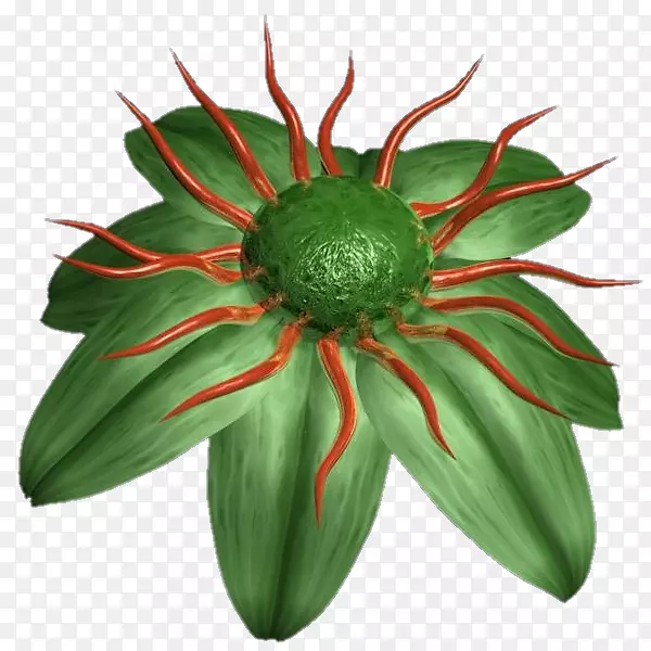 ���ͻ������껨-������-������