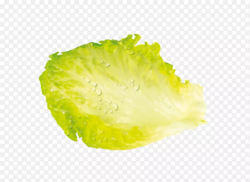 Ҷ�˹���-������