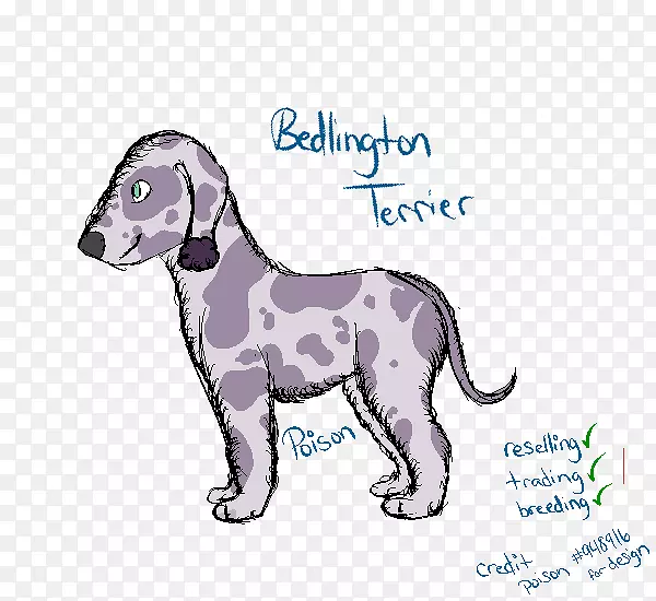 Ȯ��С��������-С��-������