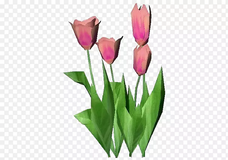 ������ֲ�����������л�-������-������