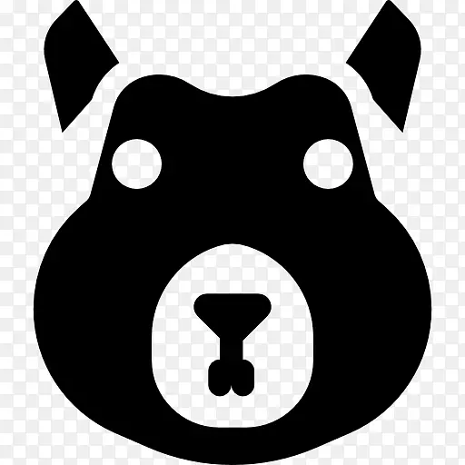 ���룬�ױ��ӣ�������-��-������