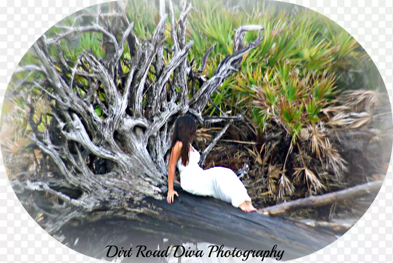 ˮ��Դ���ֲ�ƺ��-������