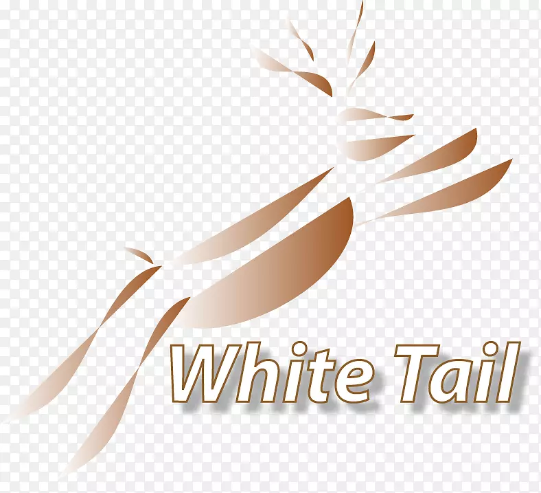 �̱������ֽ�������-������