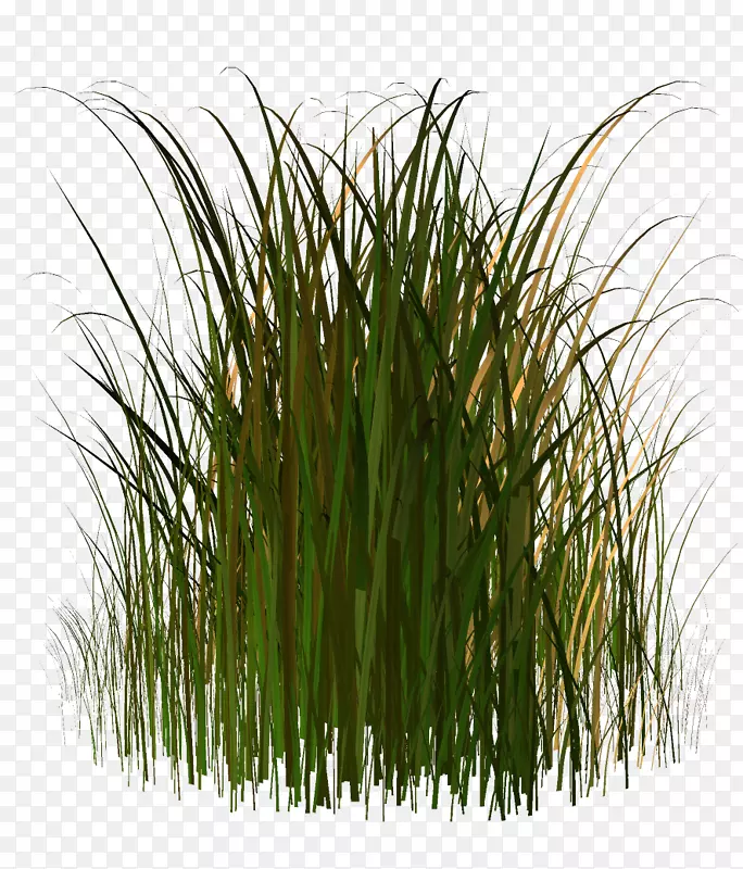 ͼƬ��������Ӱ������-�õ�-������