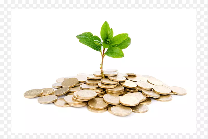 ��ҵ��չС��ҵ������ҵ��˾-ҵ��-������