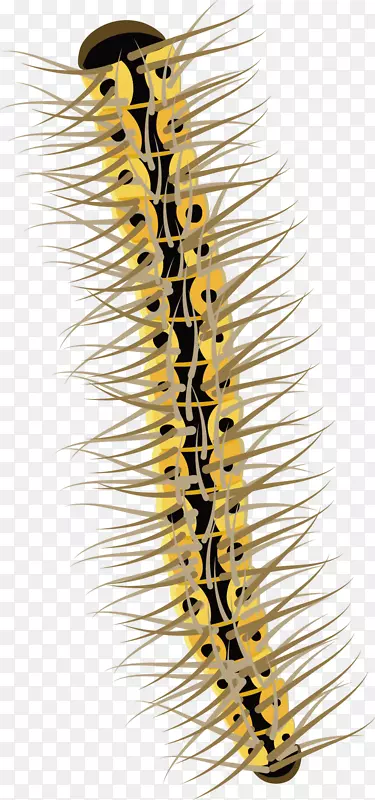 ����ë������-������