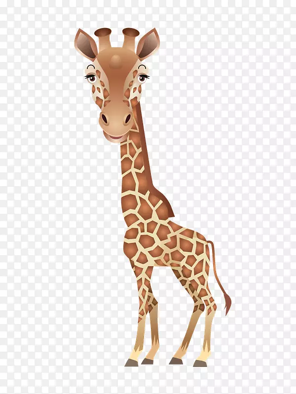 ������¹��������-������