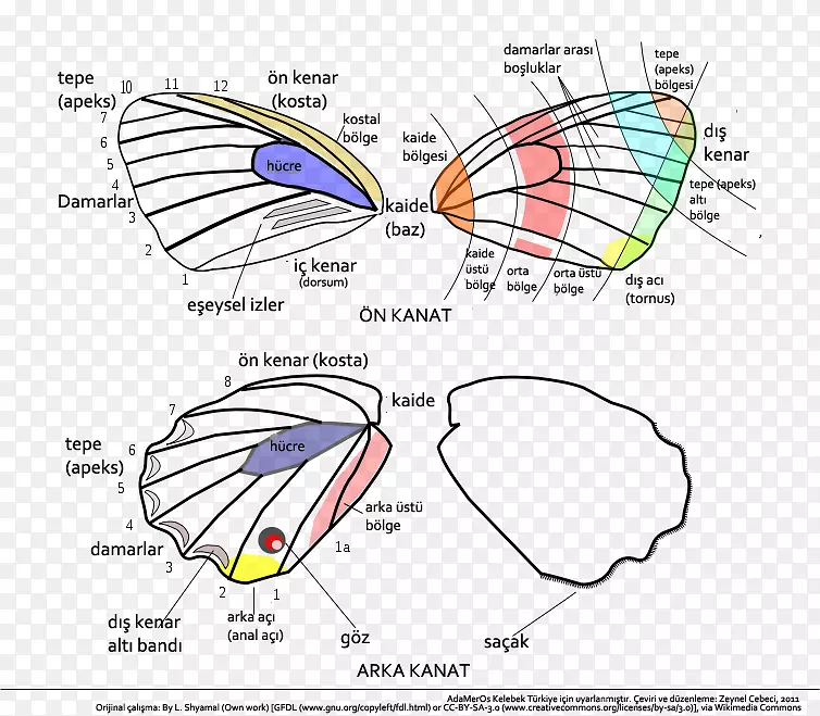 ��������ȫ��л๴�����-����-������