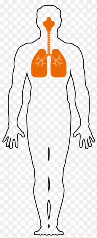 ����ϵͳ����ָ�����������-������