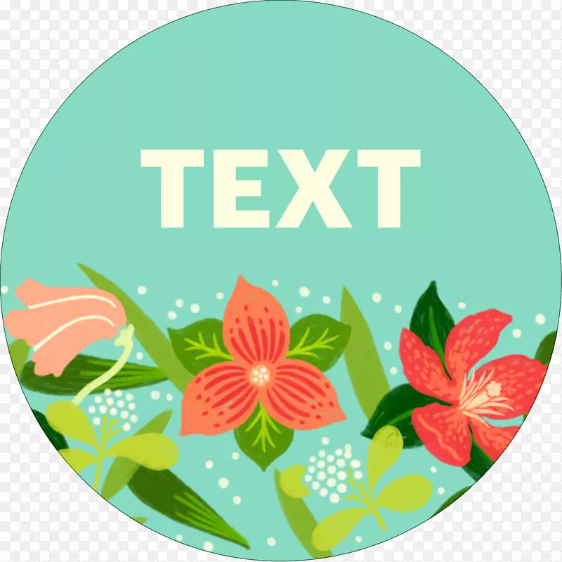 Բ�Գ�-Բ-������