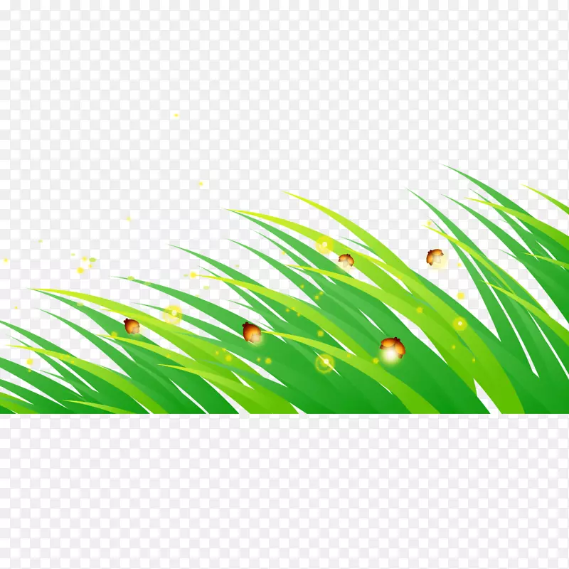 ��ͨ��ͼ-��ͨ��ө���-������