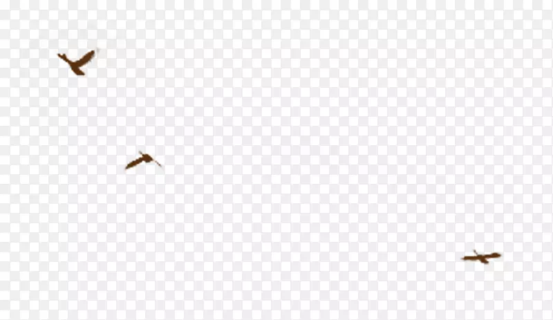 �׽��ͷ���-������