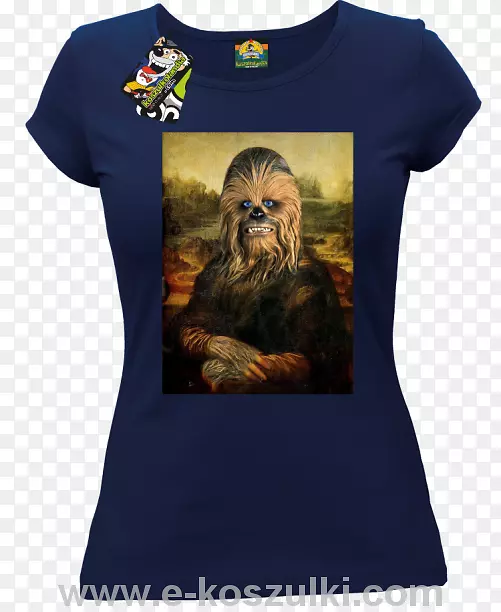 t������Ůʽ����t��-������