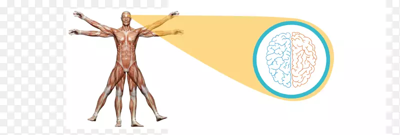 ��������ģ�ͱ�-��-������