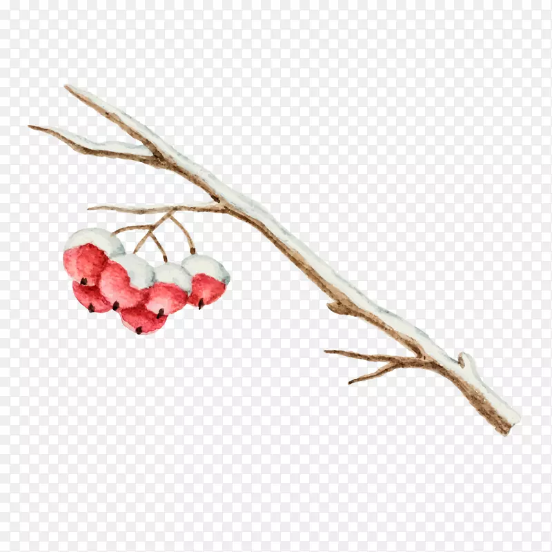 ������廭�������-������