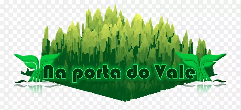 �̱�����Ʒ��������-������